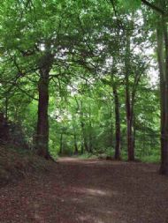 Ellesmere, Shropshire